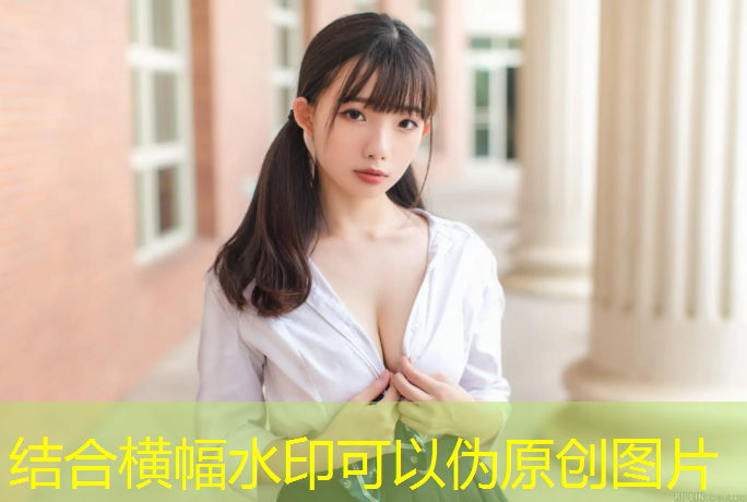 室內健身器材系列